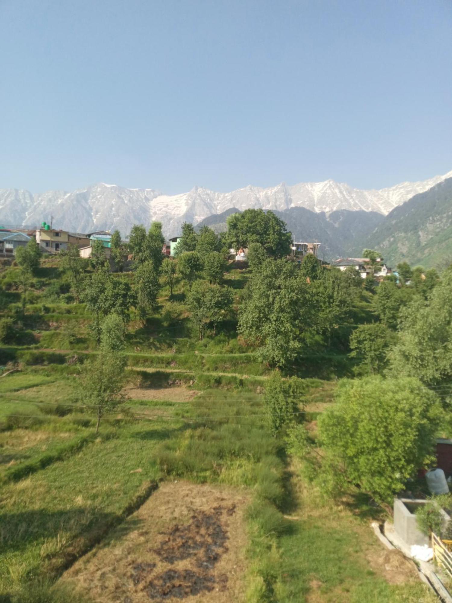 Nirmal Homestay Dharamsala Pokój zdjęcie