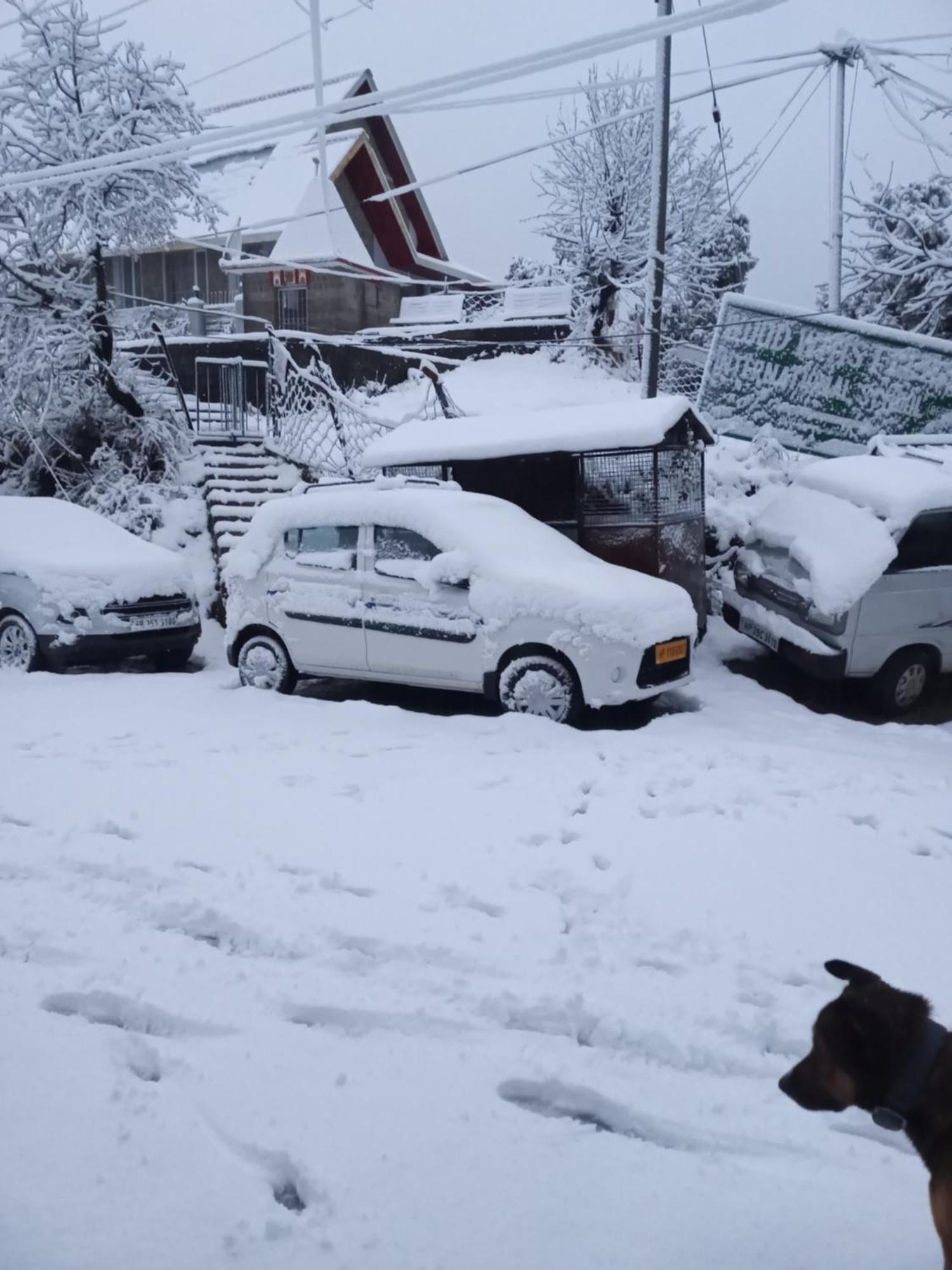 Nirmal Homestay Dharamsala Zewnętrze zdjęcie