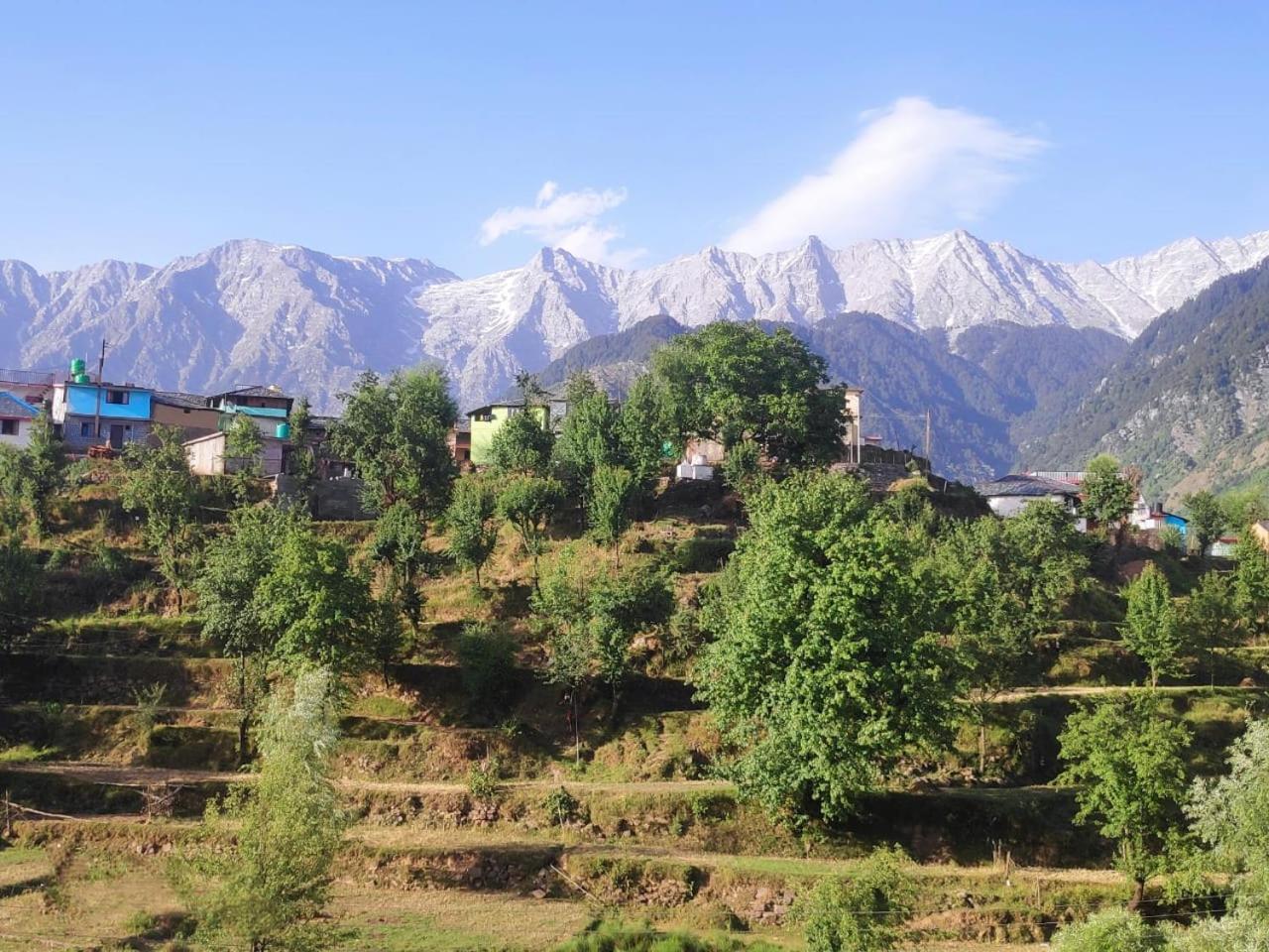 Nirmal Homestay Dharamsala Zewnętrze zdjęcie