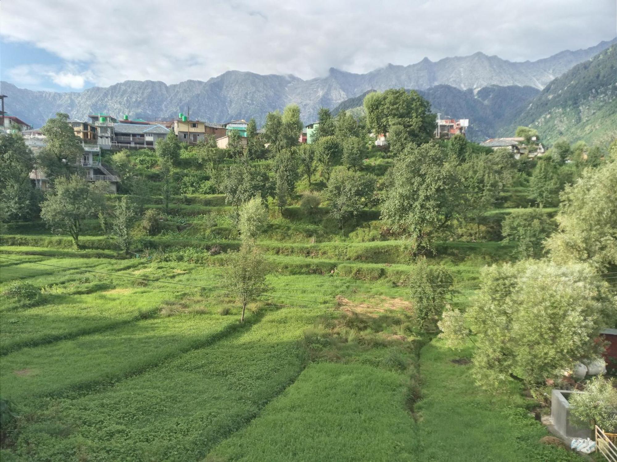 Nirmal Homestay Dharamsala Zewnętrze zdjęcie